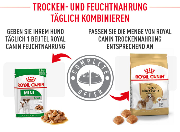 royal_canin_cavalier_king_charles_kombination_feuchtnahrung.jpg