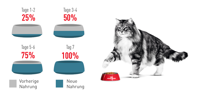 RoyalCanin_FCN_Hairball_Care_Jelly_umstellung.jpg