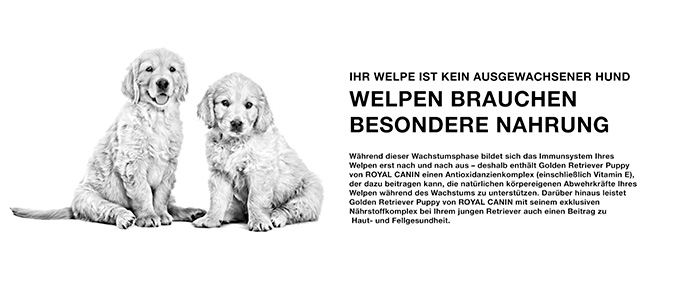 royal-canin-golden-puppy-module-2.jpg