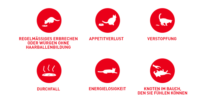 RoyalCanin_FCN_Hairball_Care_Jelly_probleme.jpg