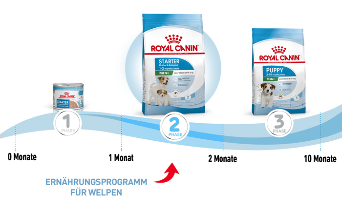 royal_canin_shn_hund_mini_starter_ernaehrungsprogramm_web.jpg