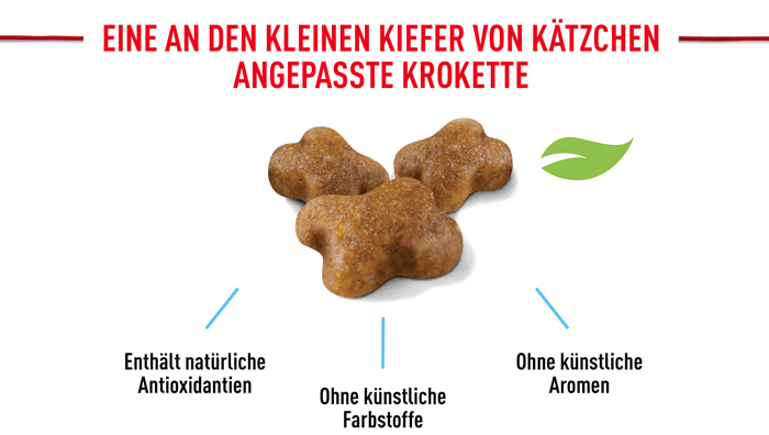 royal_canin_start_of_life_kitten_trockenfutter_angepasste_kroketten_web.jpg