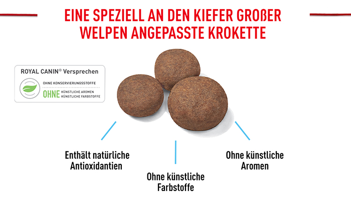 royal_canin_shn_hund_maxi_puppy_angepasste_kroketten_web.jpg