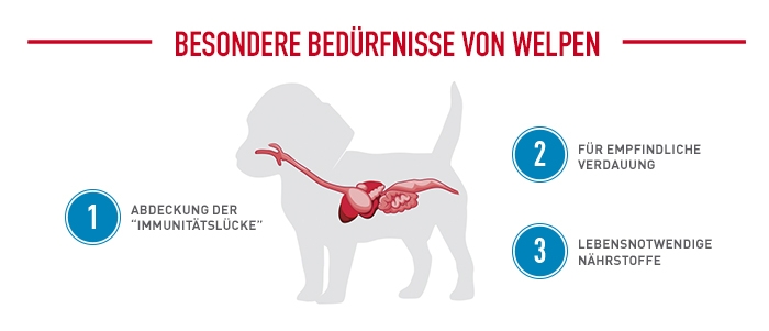 royal_canin_german_shepherd_puppy_welpen_beduerfnisse.jpg
