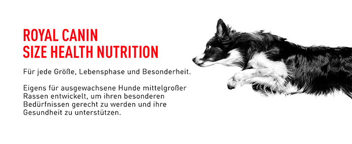 royal_canin_shn_medium_adult_shn_web.jpg