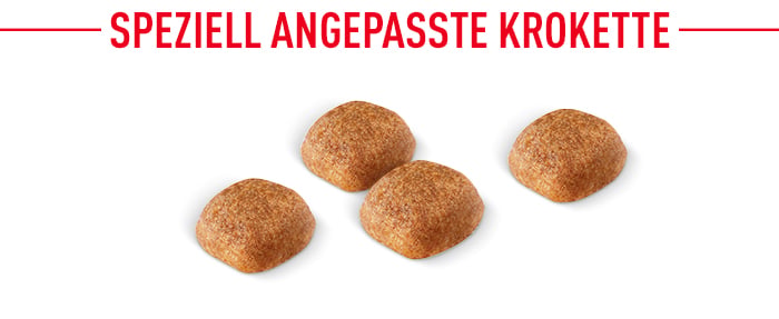 royal_canin_cavalier_king_charles_speziell_angepasste_krokette.jpg