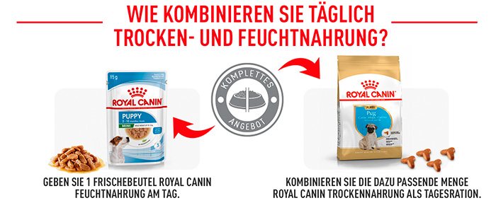 royal-canin-pug-puppy-module-6.jpg