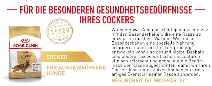 RoyalCanin_BHN_Cocker_besondere_beduerfnisse.png