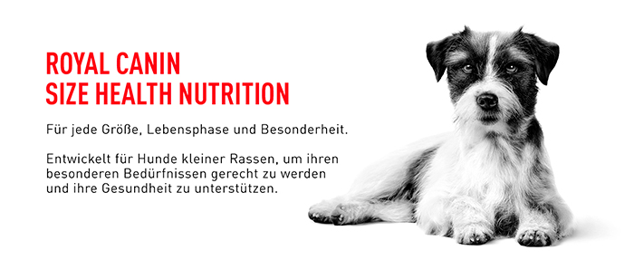 royal_canin_shn_mini_adult_shn_web.jpg