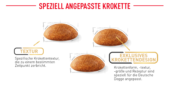 RoyalCanin_BHN_Great-Dane_angepasste_krokette.png