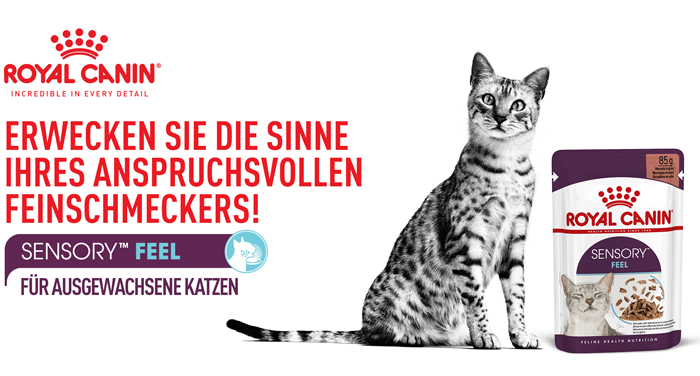 royal_canin_fhn_sensory_wet_feel_nass_gravy_sauce_erwecke_die_sinne_web.jpg