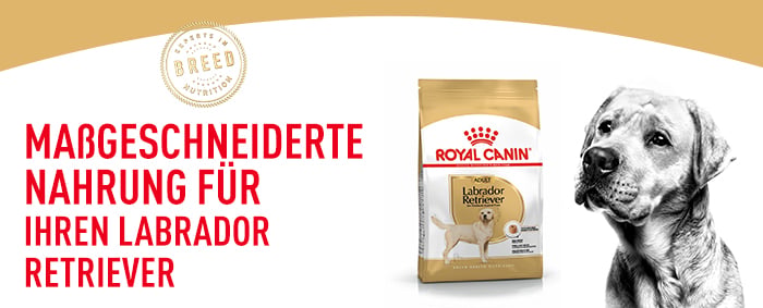 royal_canin_labrador_retriever_adult_massgeschneiderte_nahrung.jpg