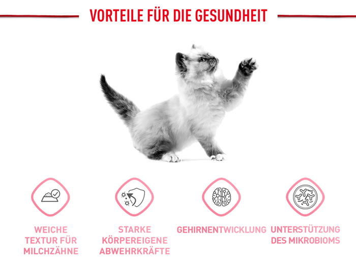 royal_canin_start_of_life_kitten_stueckchen_chunks_in_jelly_vorteile_gesundheit_web.jpg