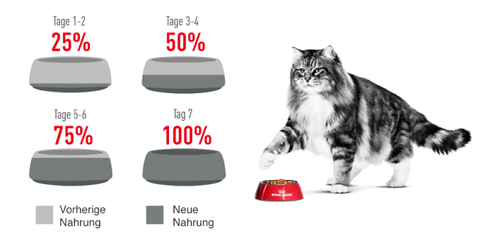 RoyalCanin_FCN_Dental_Care_Dry_umstellung.jpg