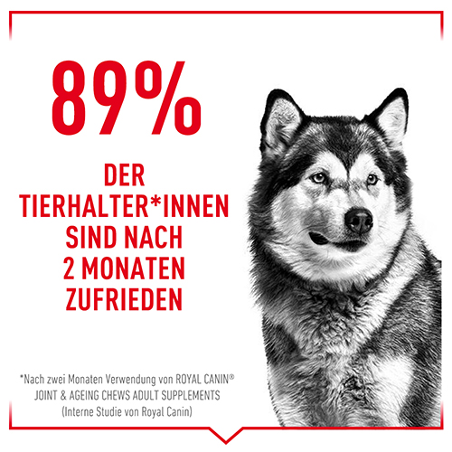 royal_canin_joint_ageing_chews_zufriedenheit_web.jpg
