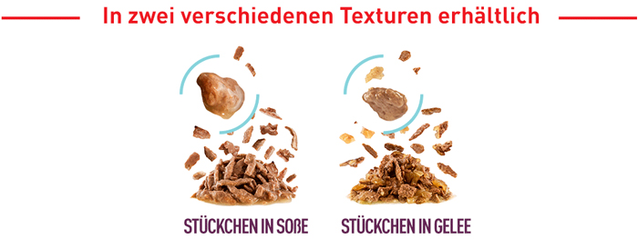 royal_canin_fhn_sensory_wet_feel_nass_gravy_sauce_verschiedene_texturen_web.jpg
