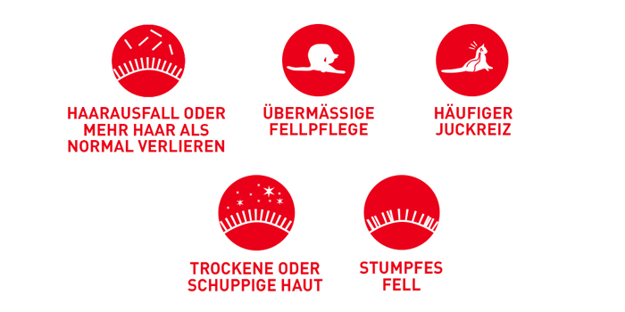RoyalCanin_FCN_Hair-Skin_Care_Jelly_probleme.jpg