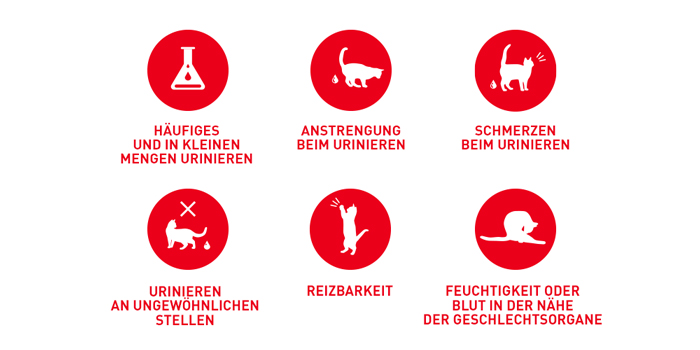 RoyalCanin_FCN_Urinary_Care_Jelly_probleme.jpg