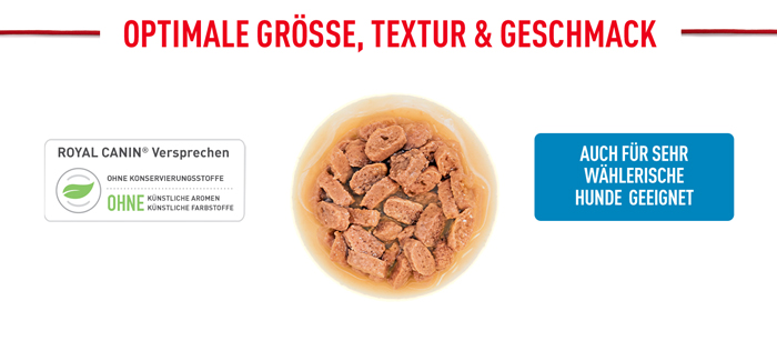 royal_canin_shn_hund_mini_puppy_stueckchen_sauce_textur_web.jpg