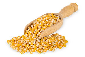 corn_220401-78847lu1imqwEQ5xwK.jpg