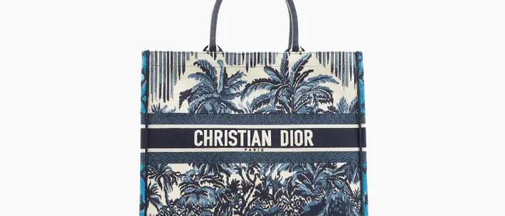 Dior Book Tote