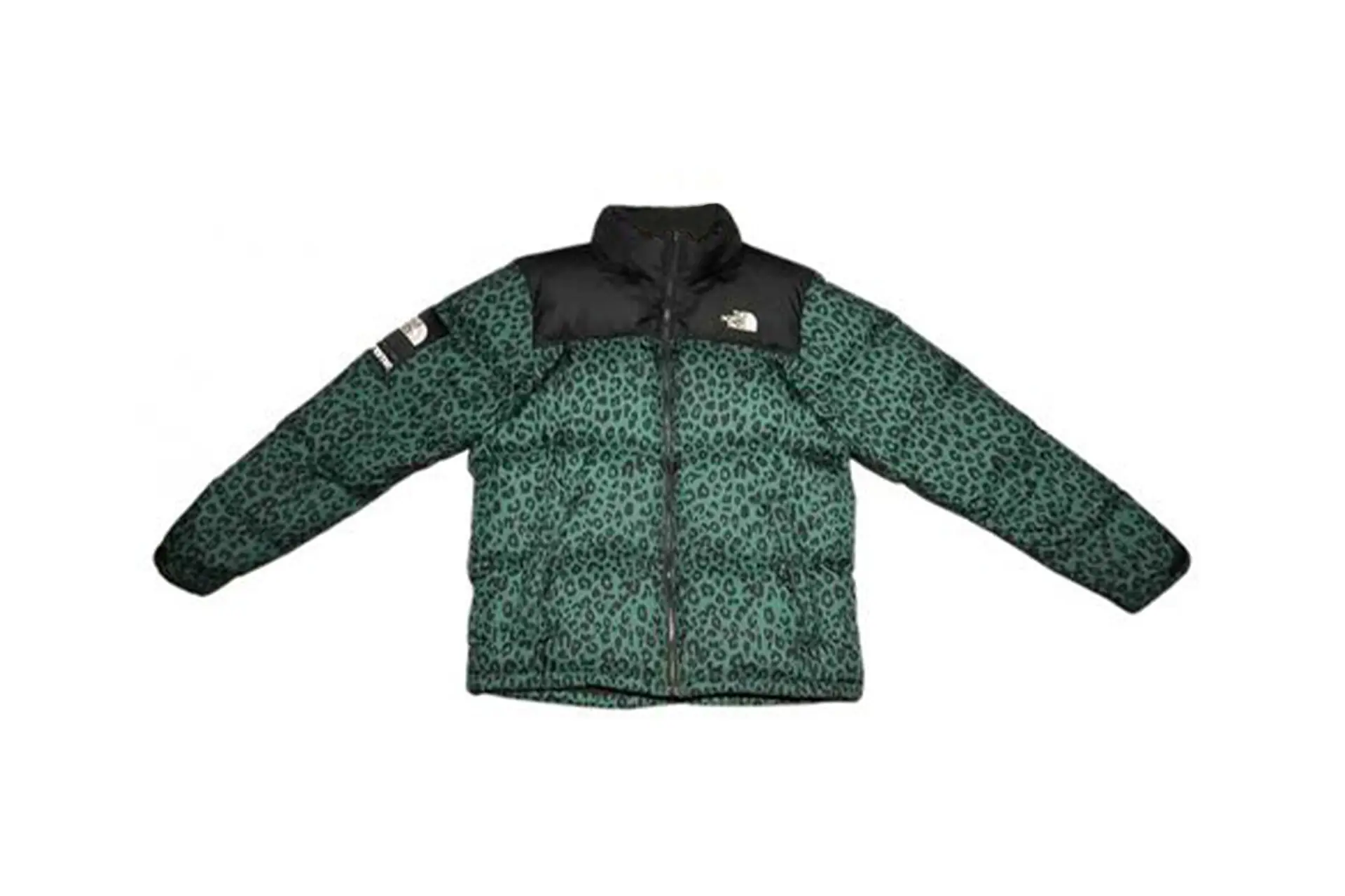 supreme-the-north-face-leopard-print-green-puffer-coat.jpg