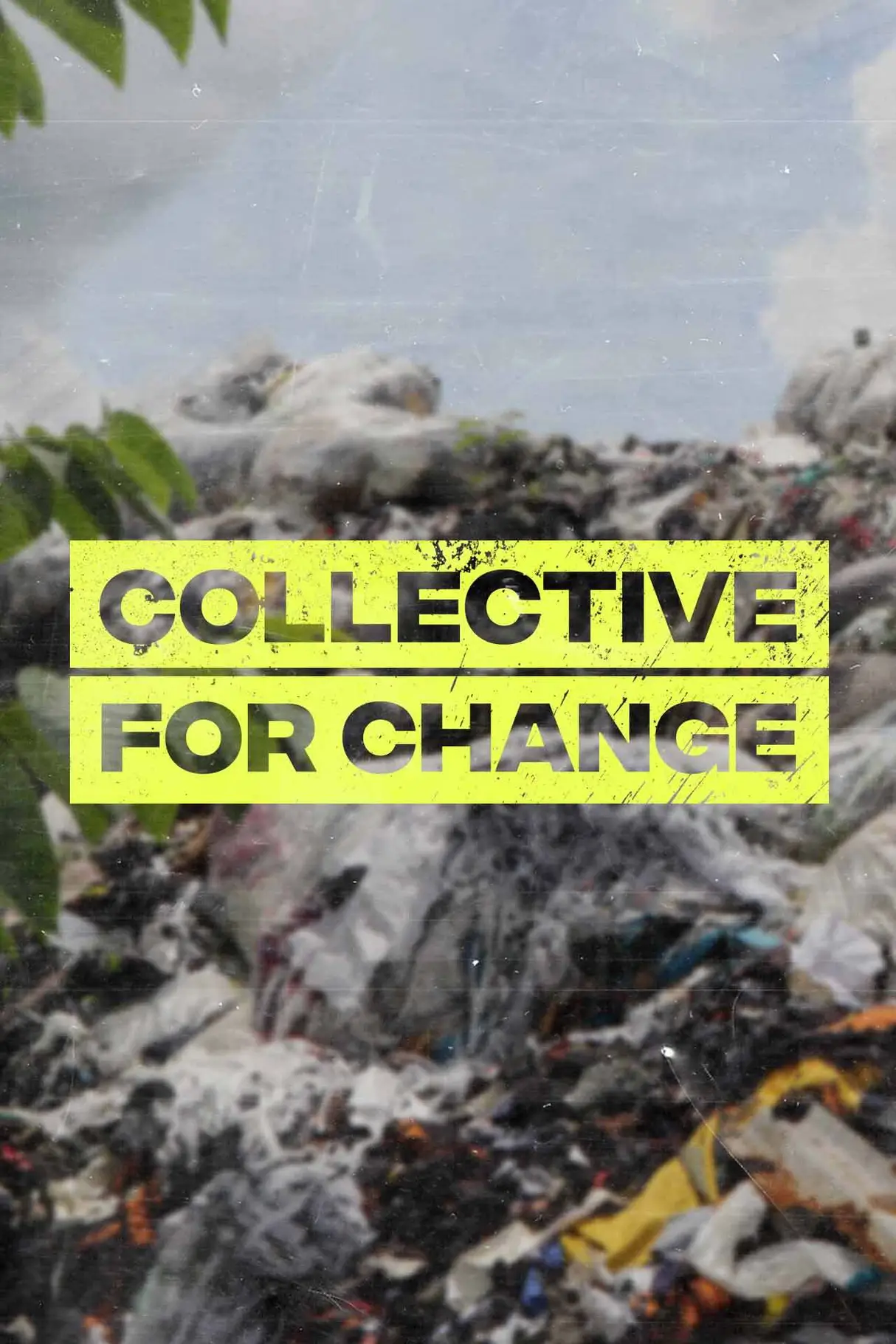 collective-for-change-section6.jpg