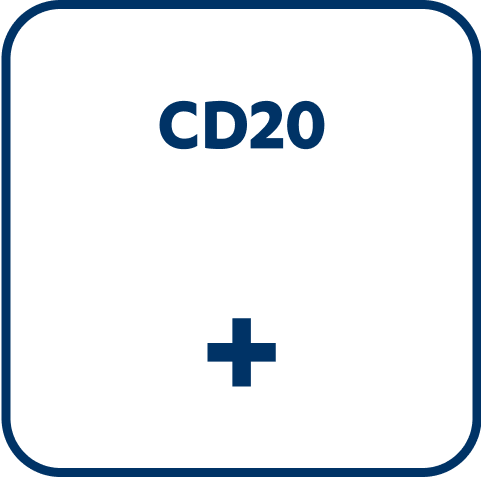 hematology-mcl_diagnose-cd20