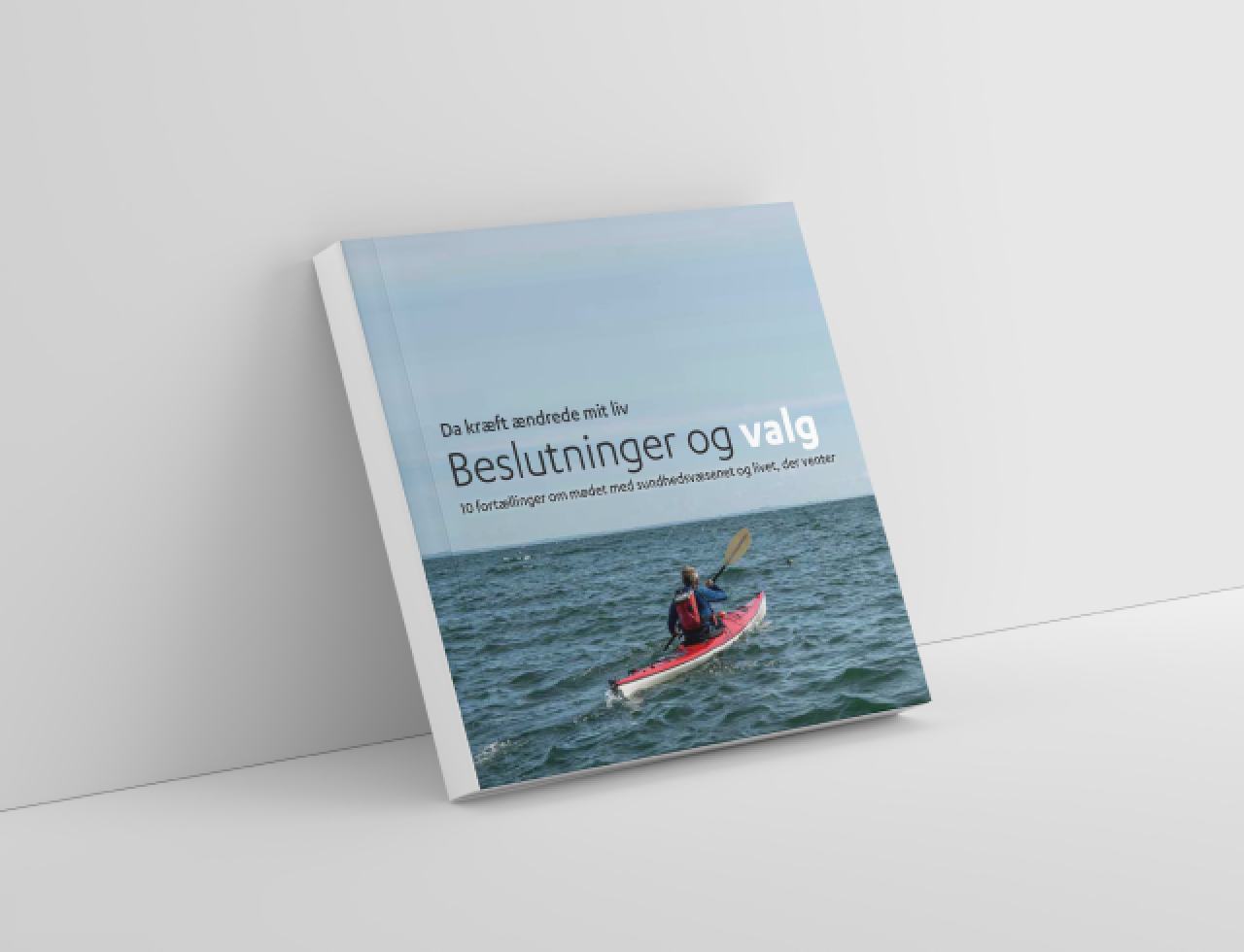 Beslutninger og valg