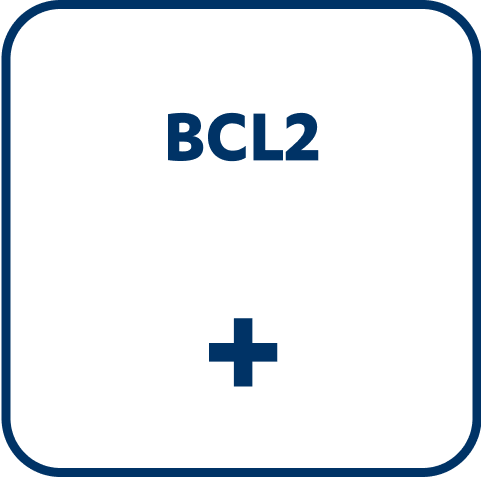 hematology-mcl_diagnose-bcl2.png