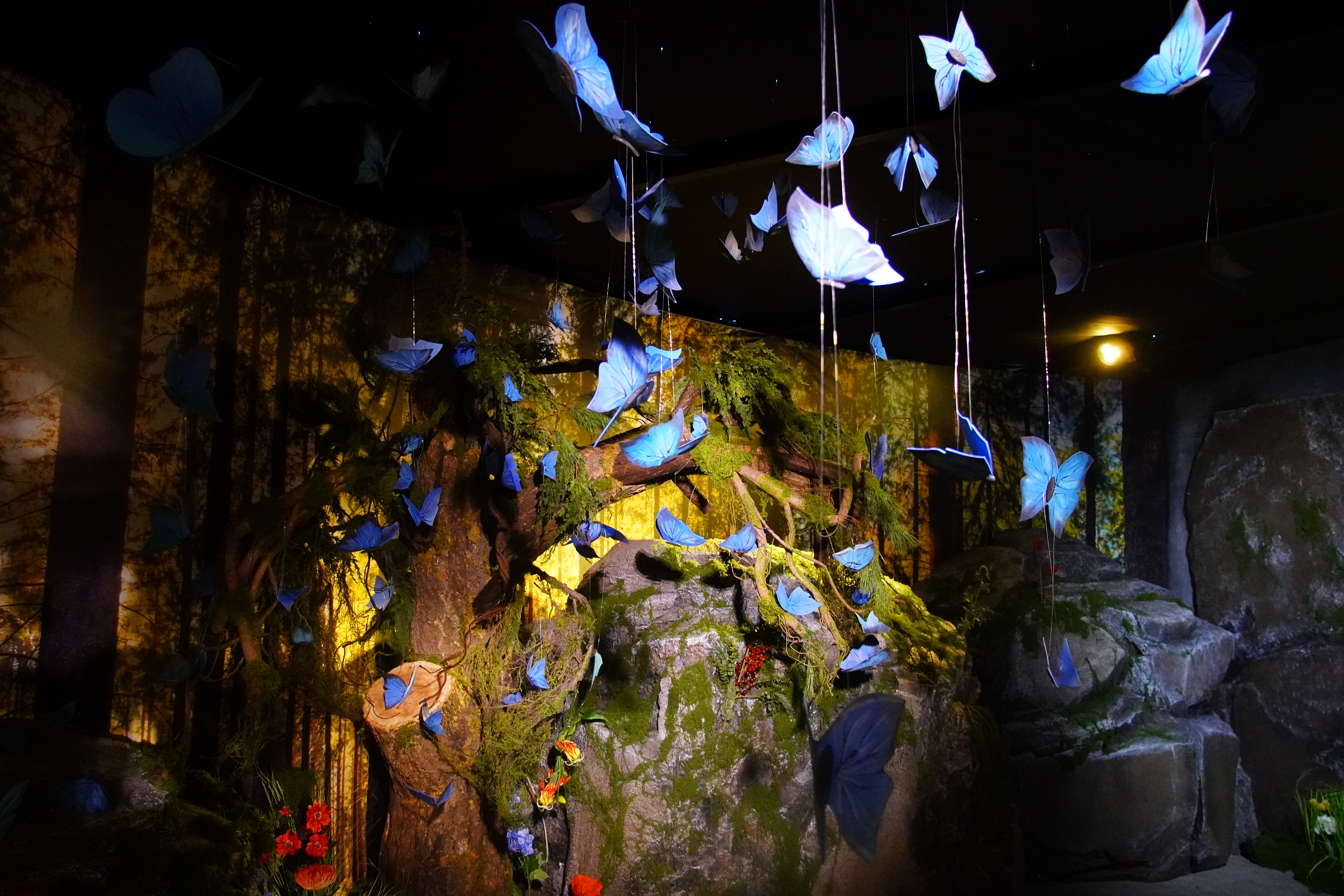 Butterflies_and_Tree_HG.JPG