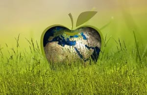 Why Sustainable Events are More Important than Ever (Plus 5 Ways to Plan Greener) Why Sustainable Events are More Important than Ever (Plus 5 Ways to Plan Greener)