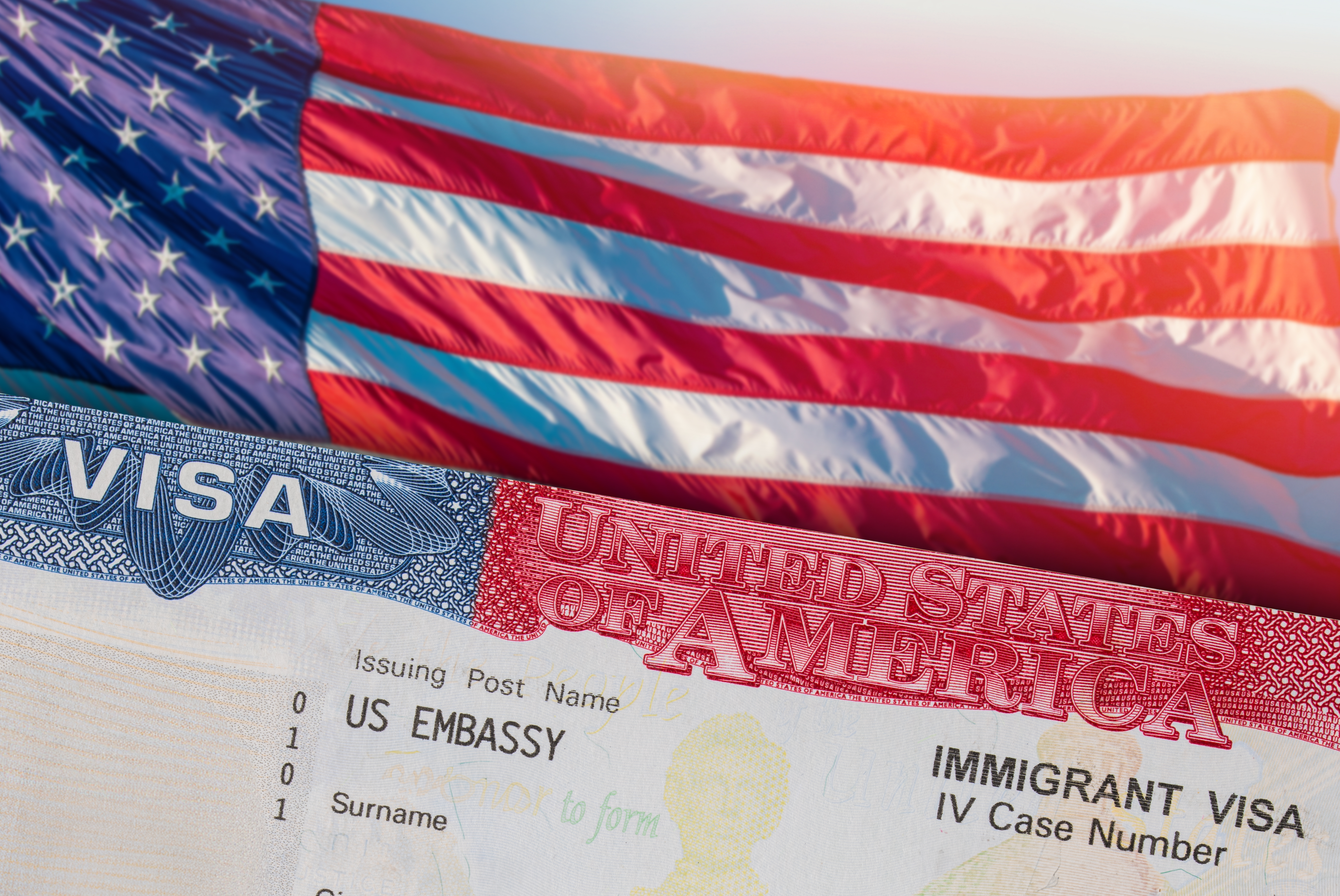 visa image.jpg
