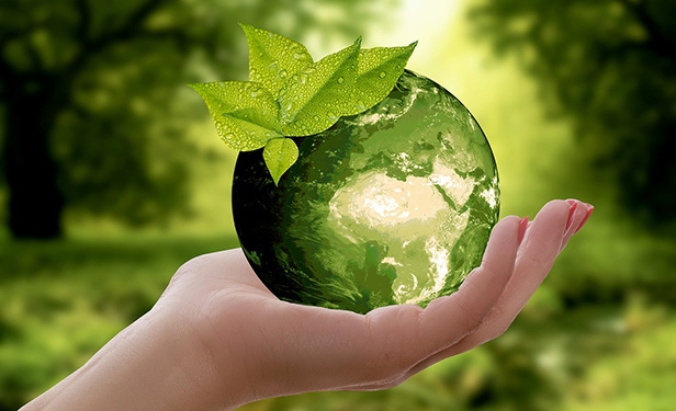 Short and Long-Term Strategies Are Key to Greening Events Short and Long-Term Strategies Are Key to Greening Events