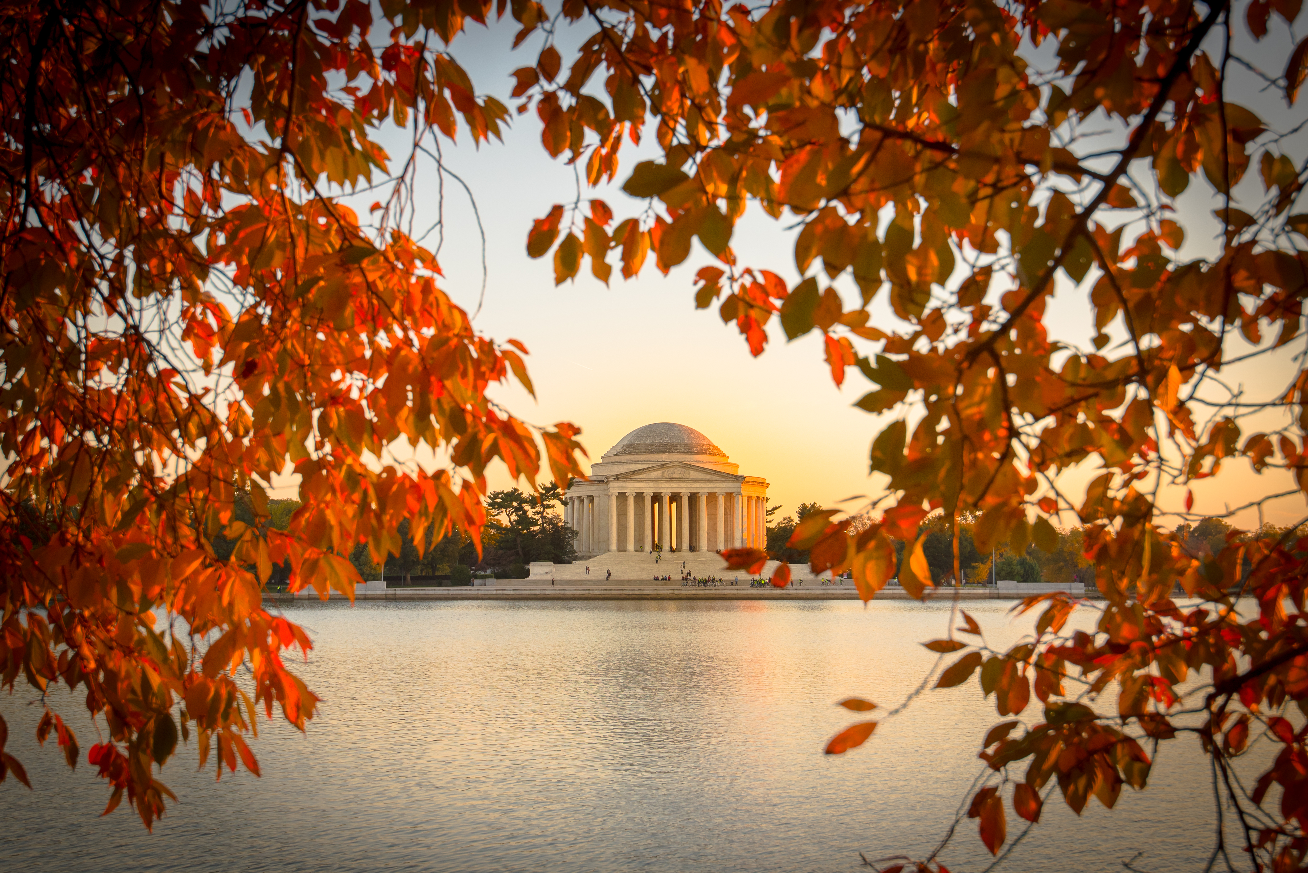 jefferson memorial dc in the fall.jpg