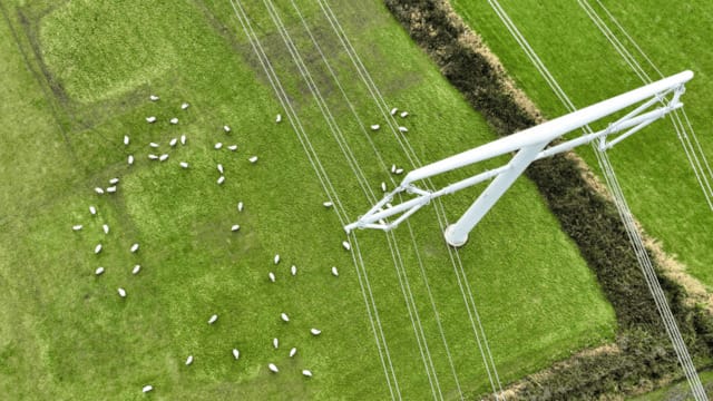 Cornwall Insight: Grid connections threaten renewables rollout