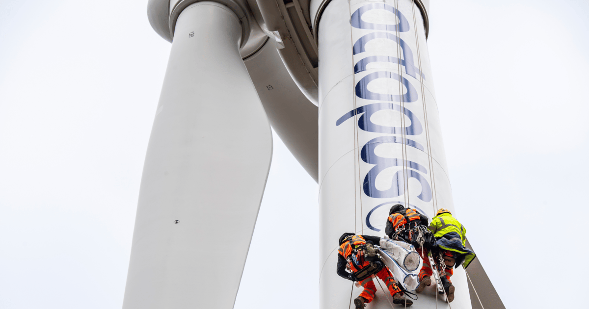 Octopus Energy acquiring Renewable Power Capital, Companies House filings suggest
