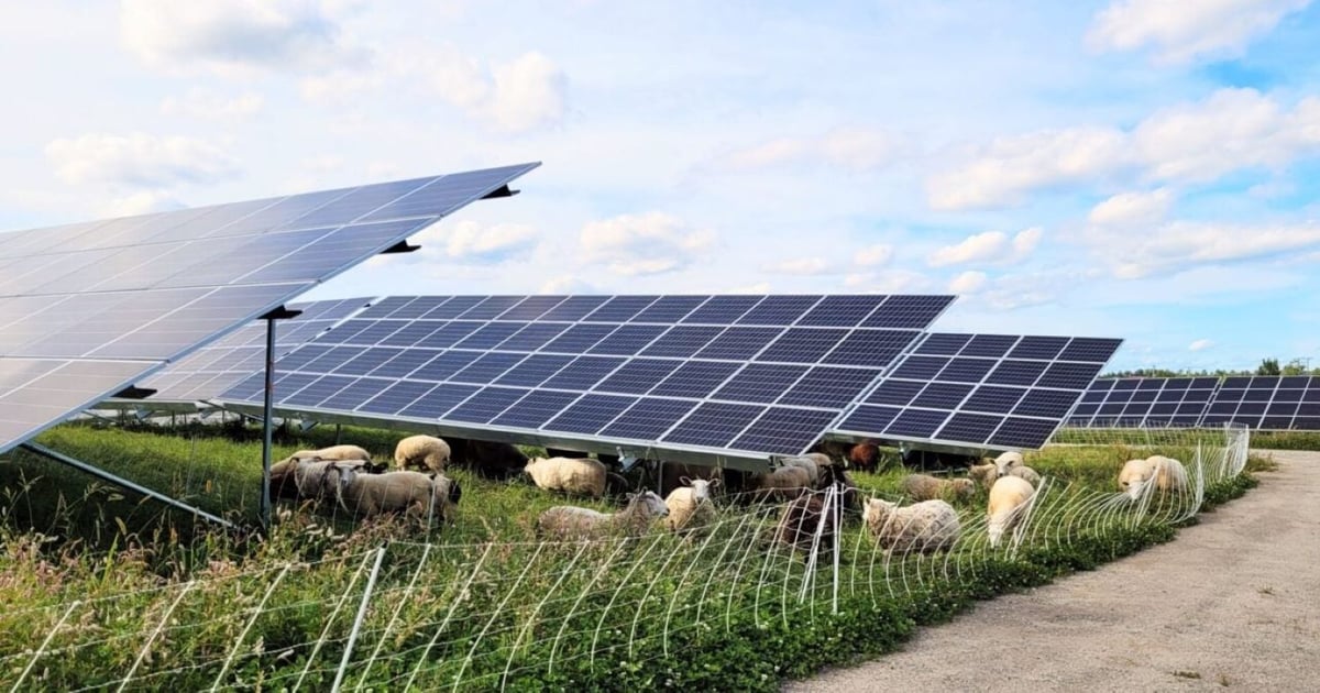 'Late-mover advantage' and 'stable' politics facilitating Ireland's renewable energy growth