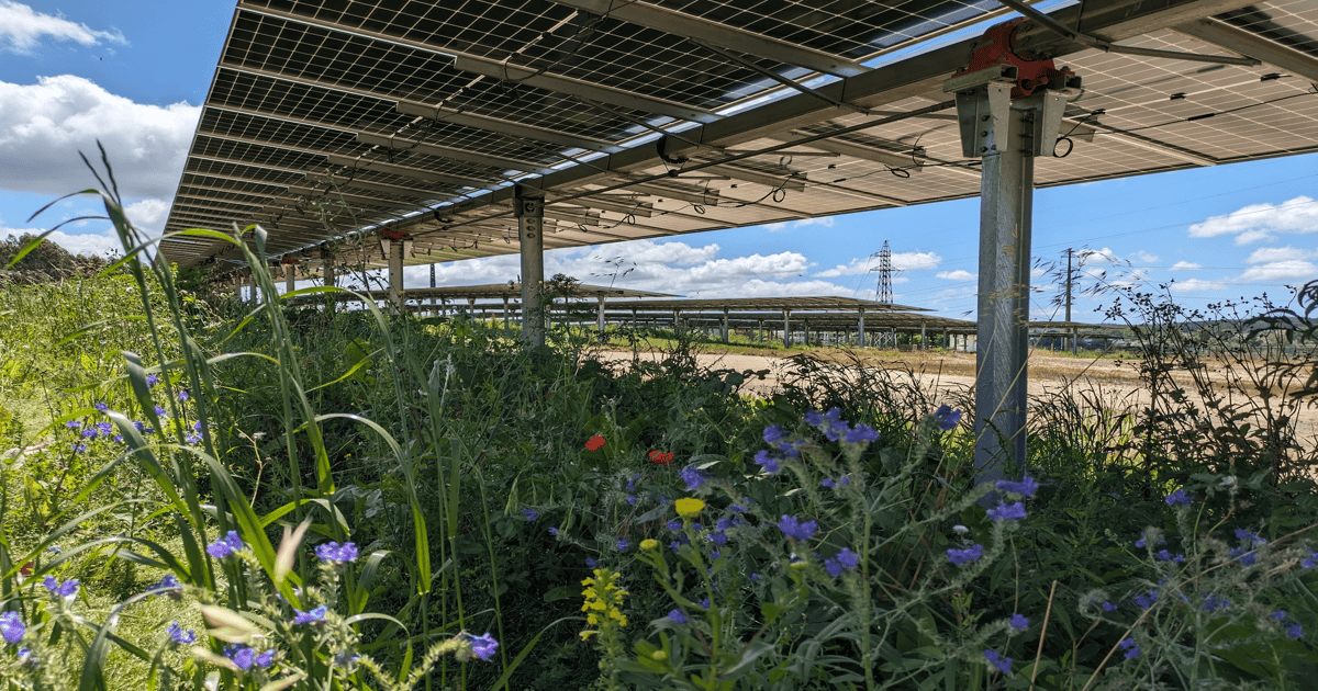 Aura Power secures Section 106 Agreement for Moreton Brook Solar Farm