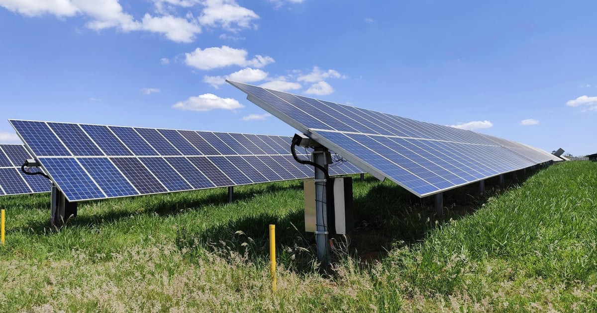 Cane Solar Canadian Solar wraps up Q1 with three UK developments