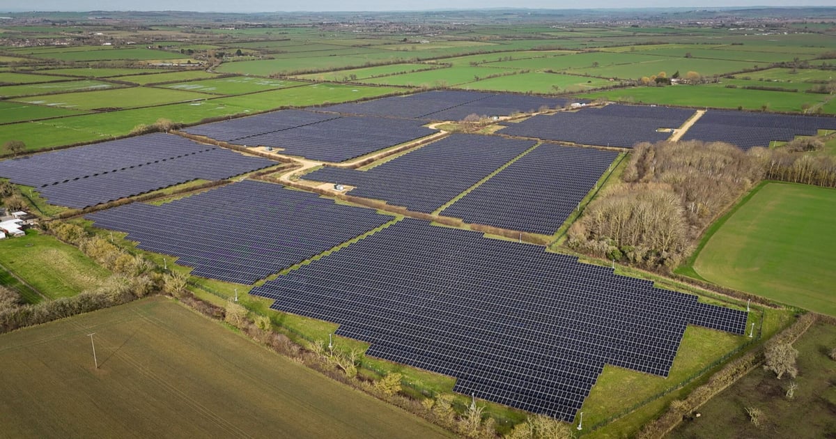 UK solar developers' response to supply chain constraints