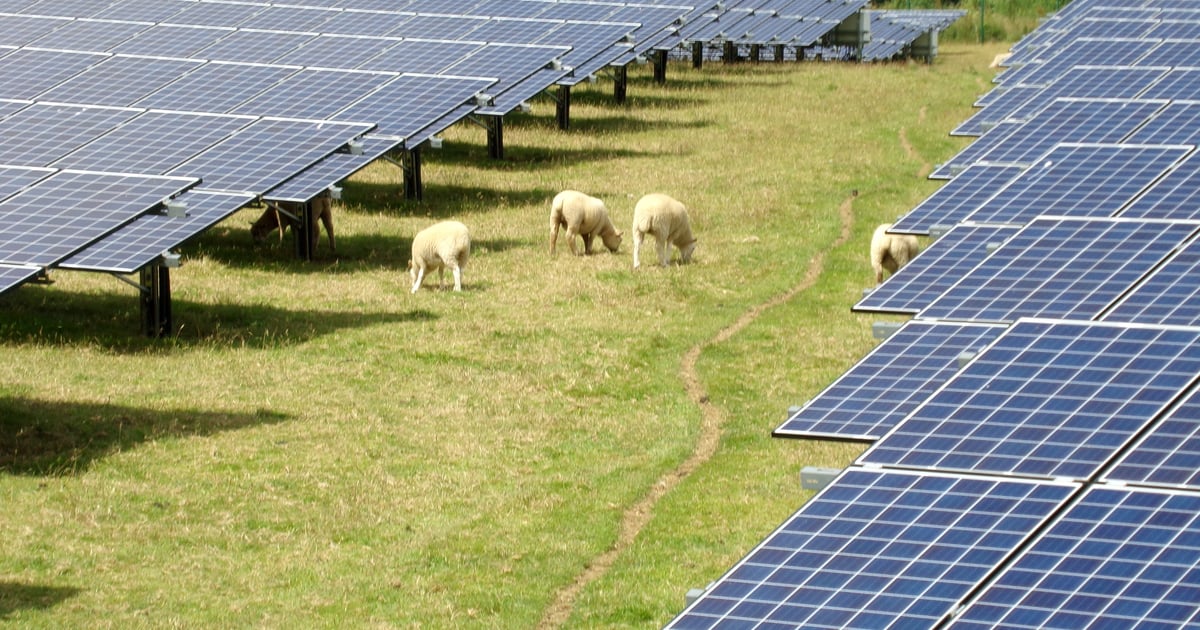 Aura Power secures financing for 49.9MWp Staffordshire PV project