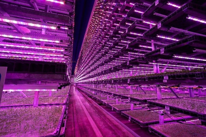 ‘World's largest vertical farm’ installs solar system