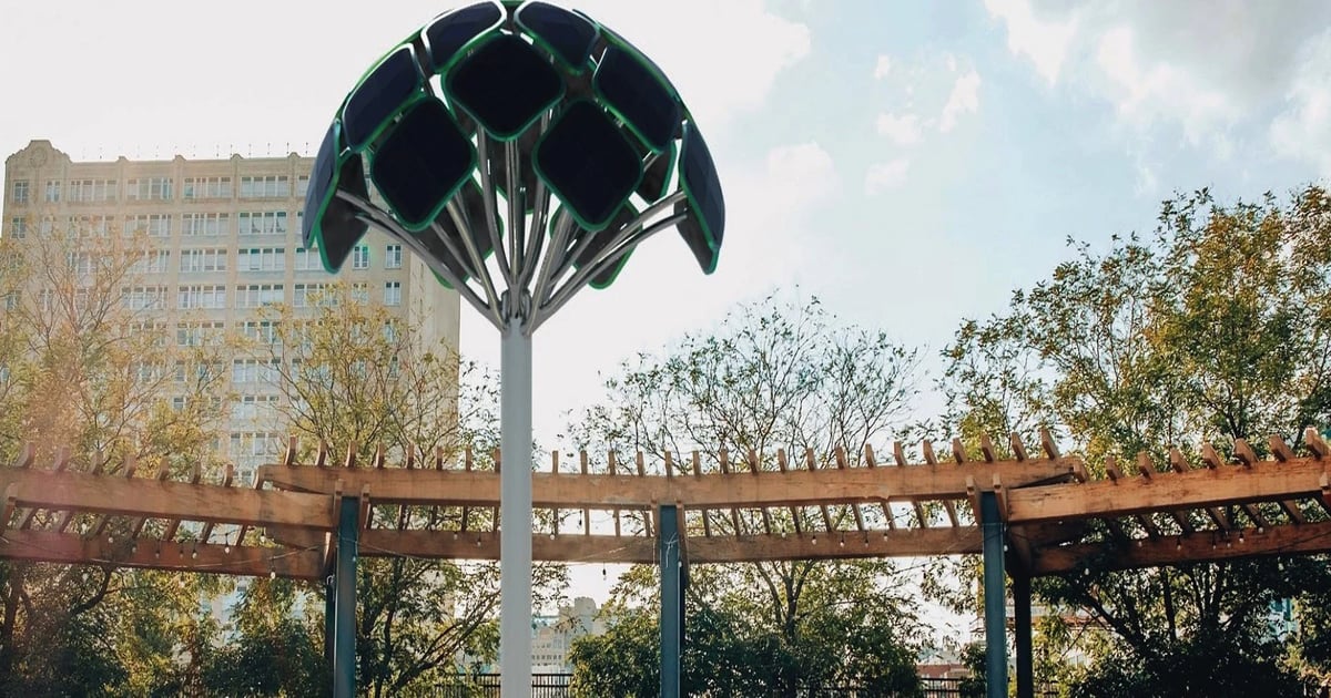 SolarBotanic Trees to provide solar solution to support RAW Charging EV ...