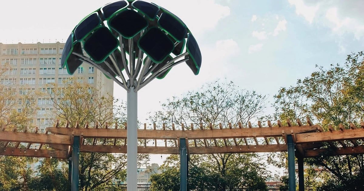 SolarBotanic Trees to provide solar solution to support RAW Charging EV ...