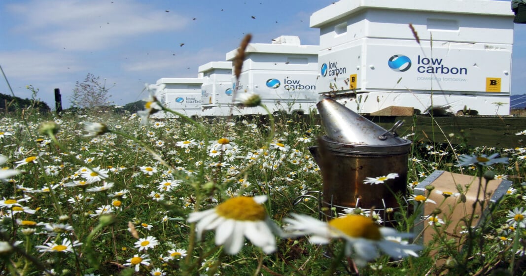 Low Carbon, Lancaster University to study solar farm biodiversity