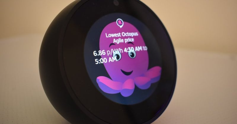 Octopus Timer Octopus introduces rewards scheme for smart meter users