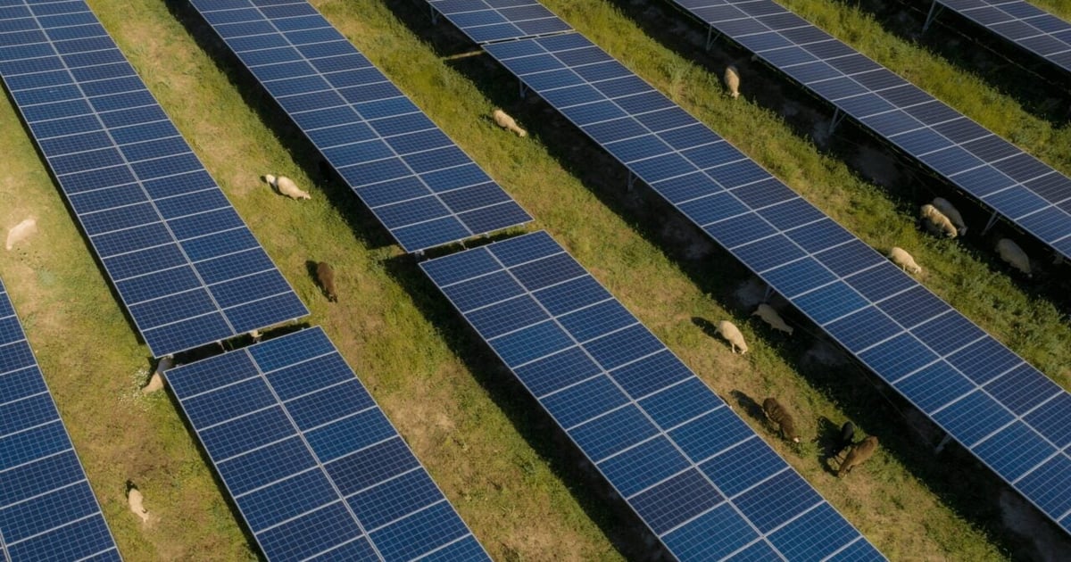 BayWa.r.e nets hat-trick of solar consents - Solar Power Portal