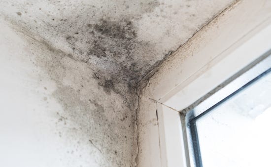 How to prevent mould?