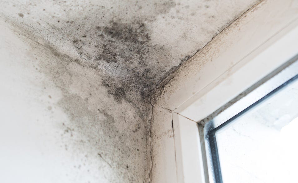 How to prevent mould?